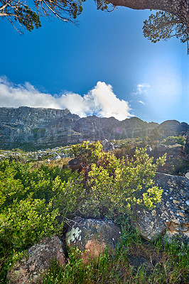 Buy stock photo Copy space with landscape of Table Mountain in Cape Town against a cloudy blue sky background from below. Beautiful scenic views of plants and trees around an iconic natural landmark on a sunny day 