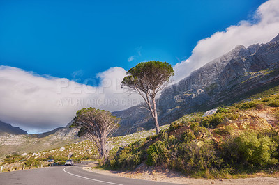 Buy stock photo Countryside road by winding through the mountains on a scenic day. Street on the mountain with green trees and cloudy blue sky copy space. A nature path for traveling or hiking in Cape Town