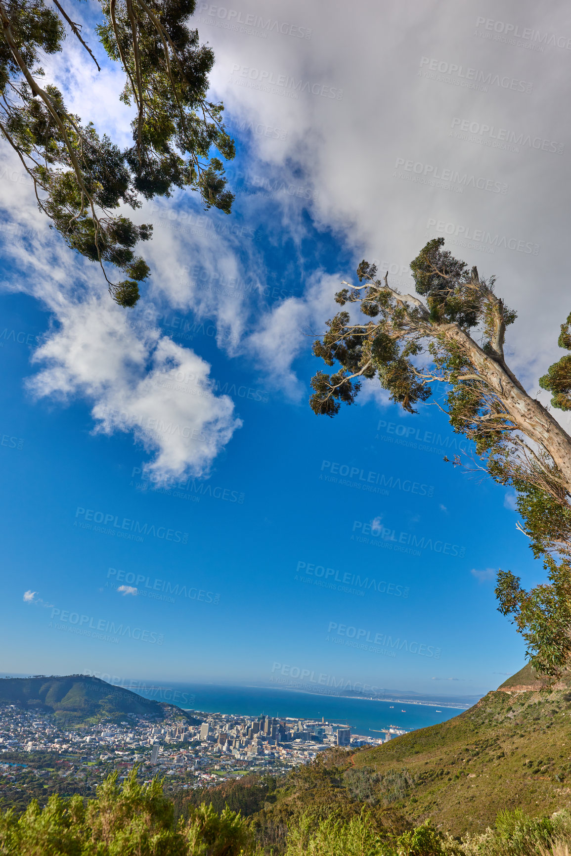 Buy stock photo Beautiful scenic view of a coastal city from a mountain peak with trees and plants against a cloudy blue sky background. Magnificent panoramic of a peaceful landscape at the sea to explore and travel