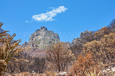 Buy stock photo Landscape view of twelve apostles in Cape Town, Western Cape in South Africa. The scenery of a popular tourist attraction for hiking and natural landmark during the day against a cloudy blue sky