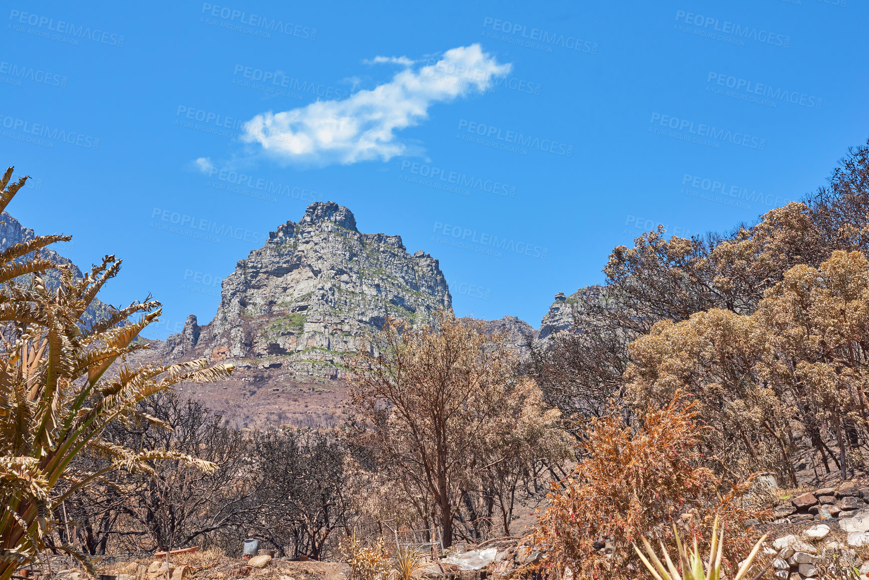 Buy stock photo Landscape view of twelve apostles in Cape Town, Western Cape in South Africa. The scenery of a popular tourist attraction for hiking and natural landmark during the day against a cloudy blue sky