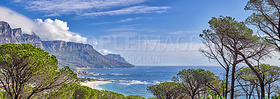Buy stock photo A relaxing ocean view with tall trees, mountains and blue sky with copyspace in Cape Town, South Africa. Popular tourist attraction destination for summer vacation and adventure walks in nature