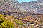 The twelve apostles - Cape Town