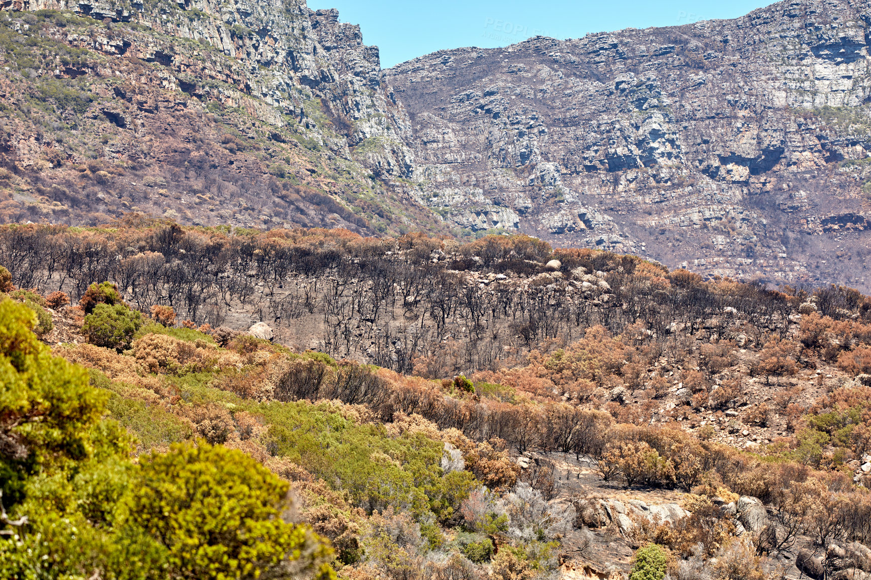 Buy stock photo Empty nature scene of on adventure hiking trail to explore with copy space. Dry brown mountain landscape in Cape Town, South Africa. Background of rocky mountaintop with plants and shrubs in the day