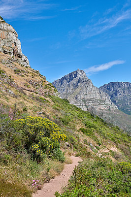 Buy stock photo Landscape of a mountain hiking trail in Cape Town, South Africa. Rocky rural nature with greenery against stunning blue sky and quiet walking route. Popular tourist attraction and adventure location