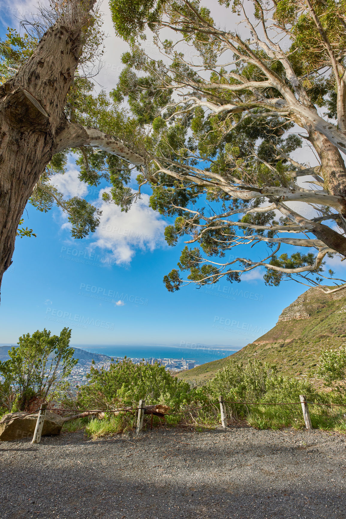 Buy stock photo Beautiful scenic view of a coastal city from a mountain peak with trees against a cloudy blue sky background in Cape Town. Magnificent panoramic of a peaceful landscape of the sea to explore