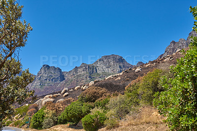 Buy stock photo Twelve Apostles at Table Mountain in Cape Town against a blue sky background with copy space. Beautiful view of plants and shrubs growing around a majestic rocky valley and scenic landmark in nature