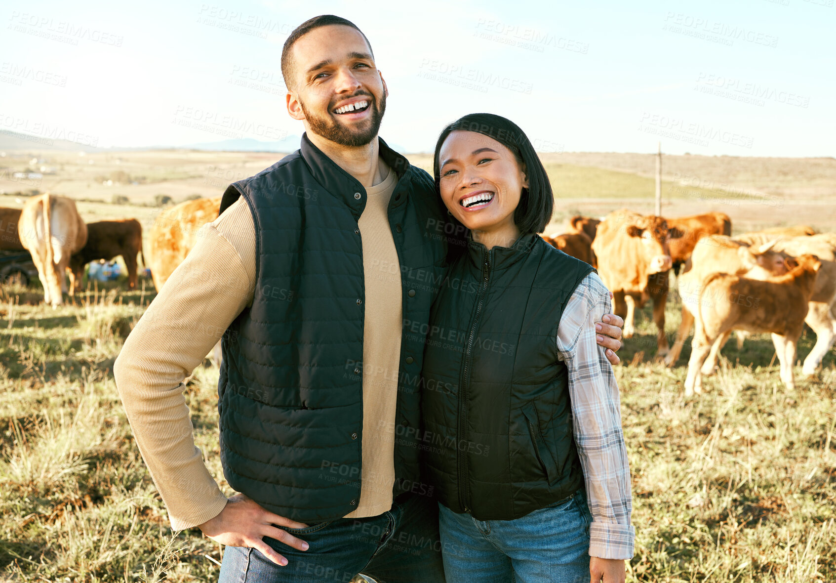 Buy stock photo Portrait, farm and couple on cattle farm, smile and happy for farming success, agro and agriculture. Farmer, man and woman hug on grass field with livestock, excited for sustainability business