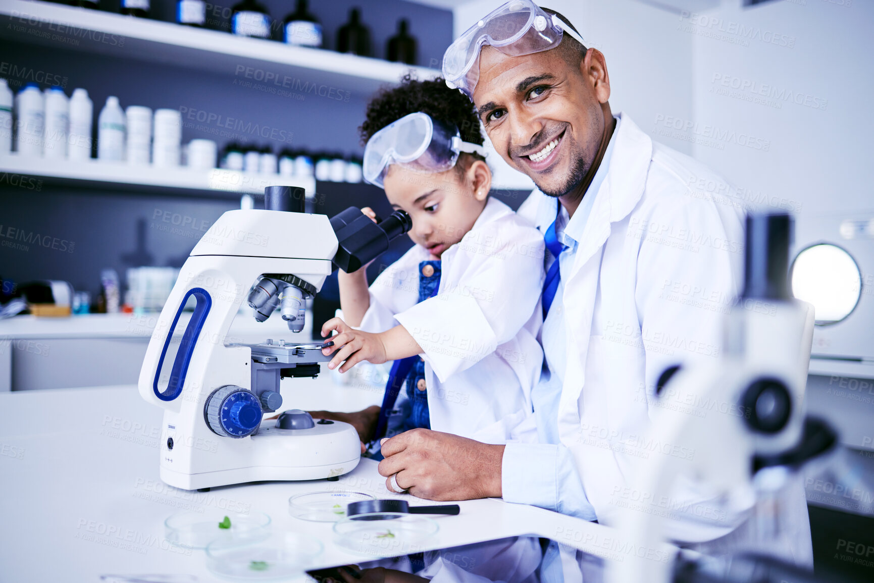 Buy stock photo Chemistry, microscope and scientist with child in laboratory for medical research, science and education. Healthcare, portrait and father and girl with equipment for knowledge, learning and teaching