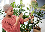 Woman with phone, mobile app and plants care in home, nature and gardening with future technology. Girl with cellphone photography, house plant problem and internet search for help with dry leaves.