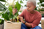 Plant, health and check with black woman in small business for agriculture, quality assurance and gardening. Ecology, spring and inventory with person in nursery store for environment and retail