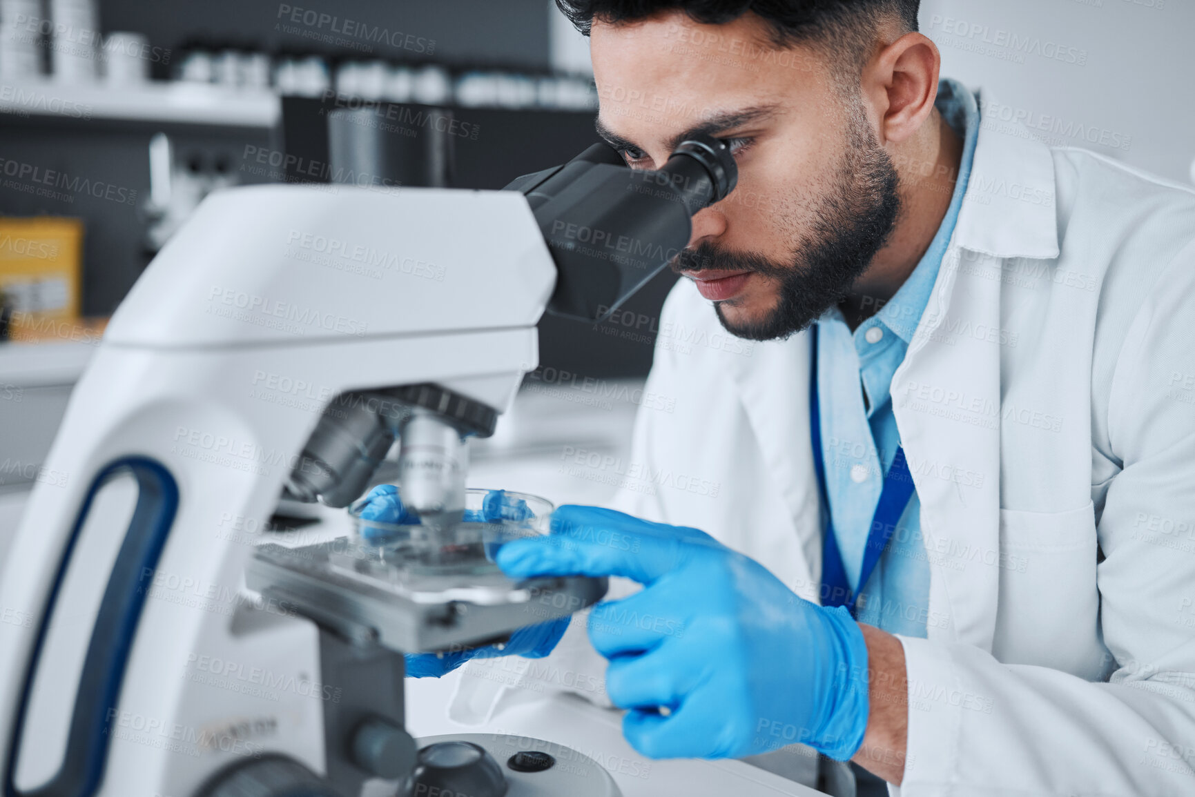 Buy stock photo Microscope, science and pharmacy with man in laboratory for research, medical and vaccine. Chemistry, healthcare and medicine with scientist and study for solution, development and sample results
