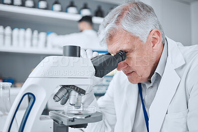 Buy stock photo Microscope, medical and research with old man in laboratory for pharmacy, science and vaccine. Chemistry, healthcare and medicine with scientist and study for solution, development and sample results