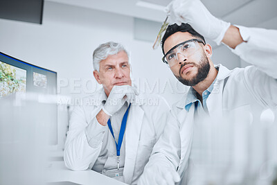 Buy stock photo Laboratory, science team and man with test tube checking results of medical study for pharmaceutical research. Healthcare, experiment and senior scientist in lab with intern for vaccine development.