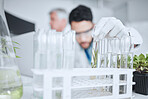 Science, test tube and man with plant in laboratory for research, biology and study medicine. Healthcare, agriculture and male scientist with samples for sustainable medical development and analysis