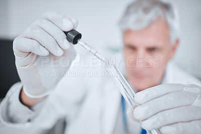 Buy stock photo Laboratory, science and man with pipette checking results of medical study for pharmaceutical research. Healthcare, experiment and scientist in lab studying vaccine development solution in test tube.