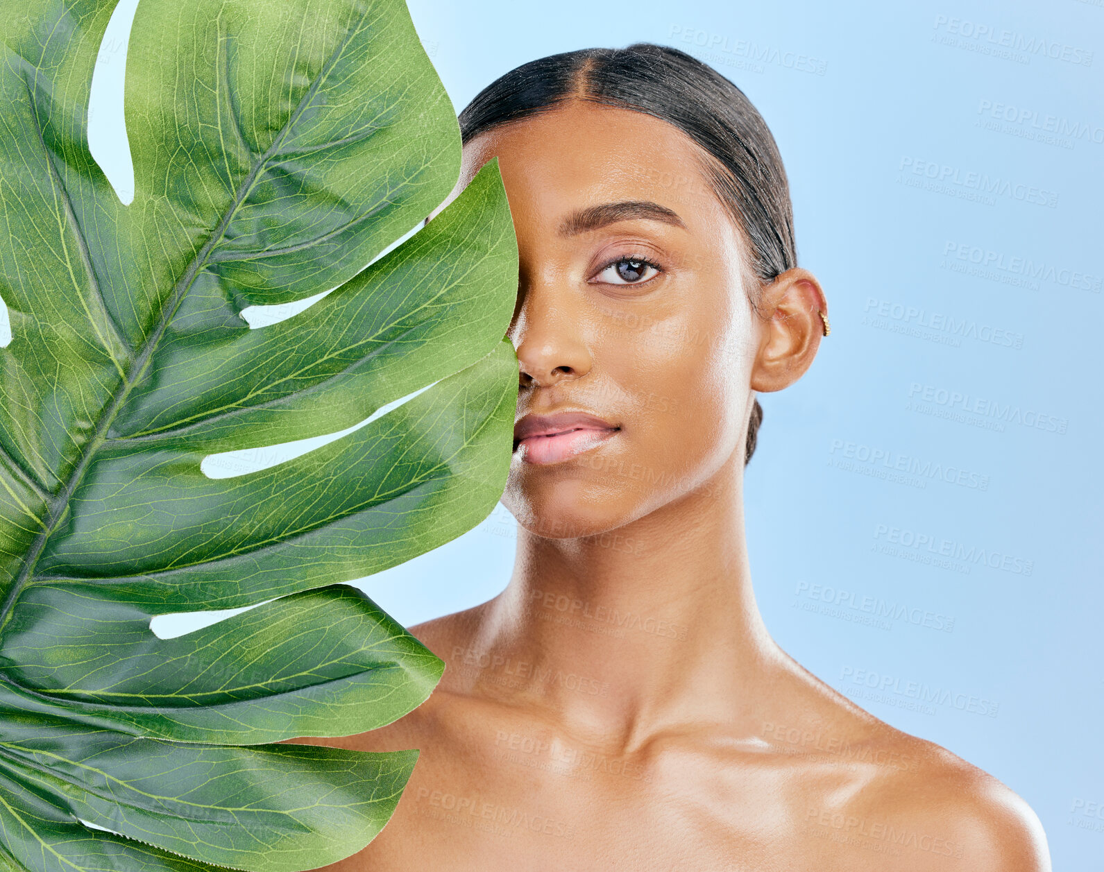Buy stock photo Skincare, plant and portrait of a woman on a blue background for skincare, wellness and beauty glow. Ecology, dermatology and an Indian girl or model with a leaf isolated on a studio backdrop