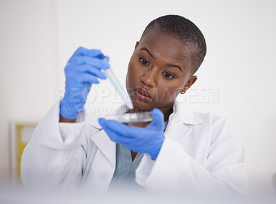 Buy stock photo Hands, petri dish and black woman scientist with DNA sample, science experiment and medical research, chemical and pipette. Biotech, scientific study and female person, chemistry and particles in lab