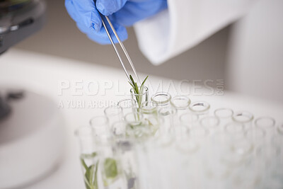 Buy stock photo Test tube, plant and ecology with scientist in lab, medical research and environmental science with sample leaf. Future, botany with agriculture and scientific study, person and investigation closeup