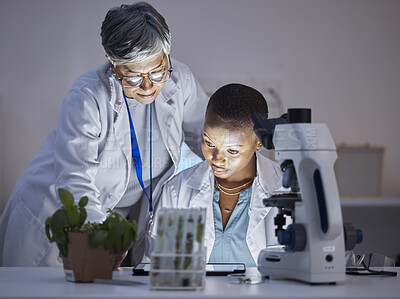 Buy stock photo Scientist, team with women in lab and plant, ecology and check data results on tablet, eco and medical research. Female people, scientific collaboration and study, analysis and environmental science