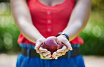 Woman, hands and apple for food diet, natural nutrition or health and wellness in nature outdoors. Closeup of female person holding organic fruit in palm for sustainability, vitamin or fiber meal