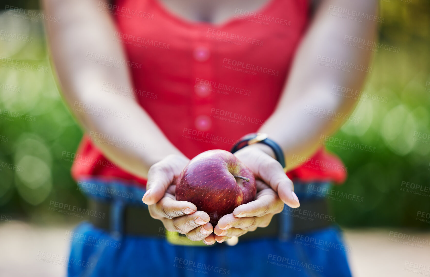 Buy stock photo Woman, hands and apple for food diet, natural nutrition or health and wellness in nature outdoors. Closeup of female person holding organic fruit in palm for sustainability, vitamin or fiber meal