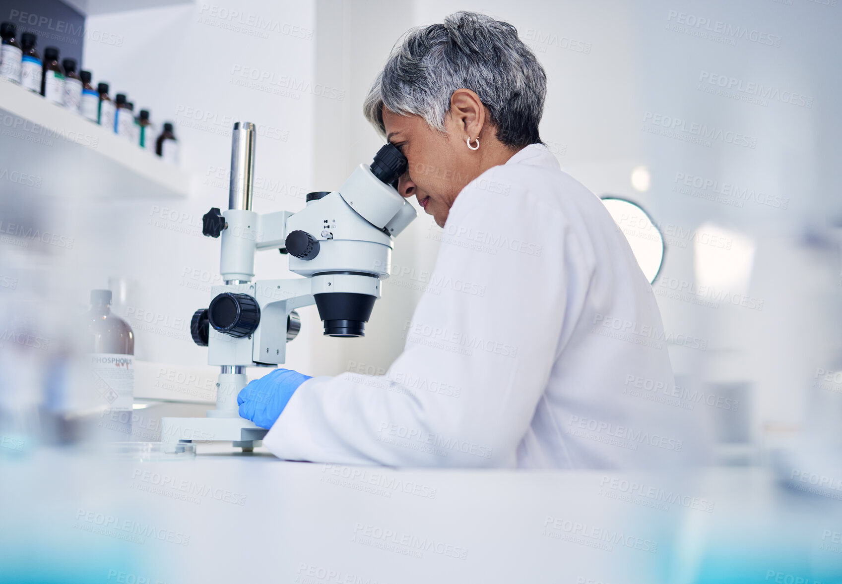 Buy stock photo Senior, scientist and woman, microscope and analysis of data with medical research and science study in lab. Future, knowledge and investigation, female doctor and check DNA sample with assessment