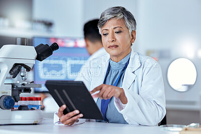 Buy stock photo Scientist, woman or tablet in laboratory for medical development, innovation and data analysis. Mature female researcher, focus or test for digital investigation, biotechnology or science information