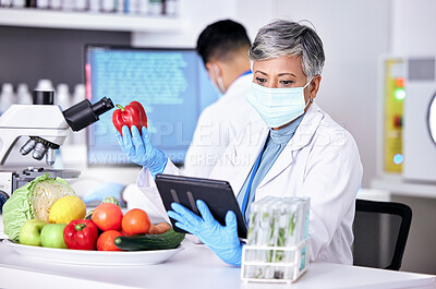 Buy stock photo Female scientist, vegetables and lab with tablet for information on app or research for diet. Science, expert and study with technology for food or analysis with reading on agriculture or experiment.