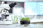 Microscope, science and ecology with plant in laboratory, environmental study and medical research with sustainability. Scientific equipment, leaves and green sample with biology and biotechnology