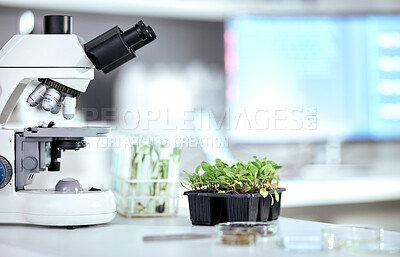 Buy stock photo Microscope, science and ecology with plant in laboratory, environmental study and medical research with sustainability. Scientific equipment, leaves and green sample with biology and biotechnology