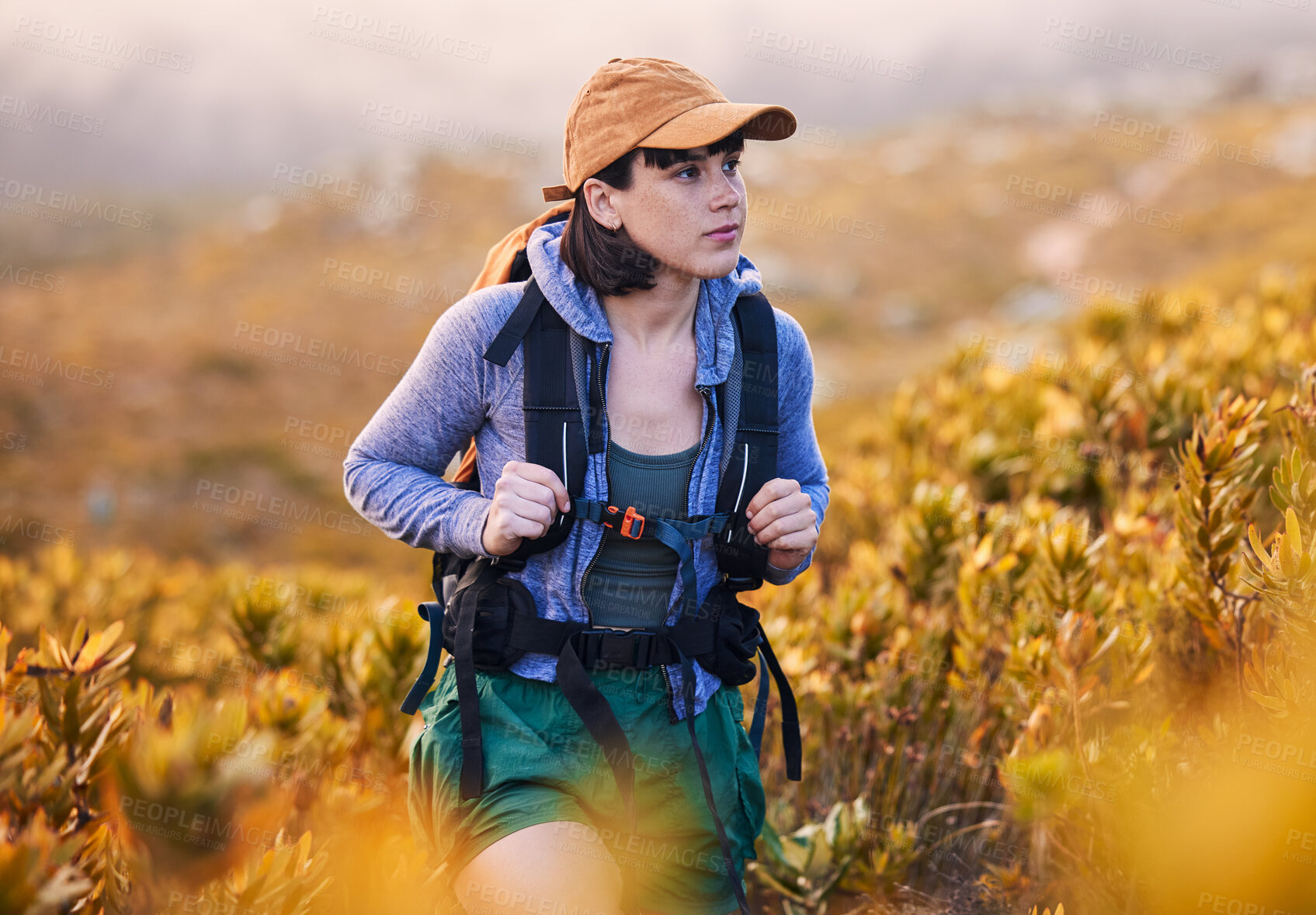 Buy stock photo Mountains, hiking and woman in backpack for nature journey, travel and outdoor adventure with bush or plants. Young person from Australia search field, trekking and walking with fitness gear