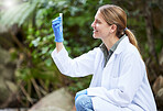 Forest, sample and woman scientist test water for research or inspection of the ecosystem and environment study. Science, sustainable and professional environmentalist doing carbon footprint exam