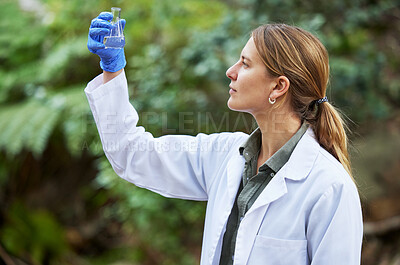 Buy stock photo Woods, water and woman scientist test sample for research or inspection of the ecosystem and environment study. Science, sustainable and professional environmentalist doing carbon footprint exam