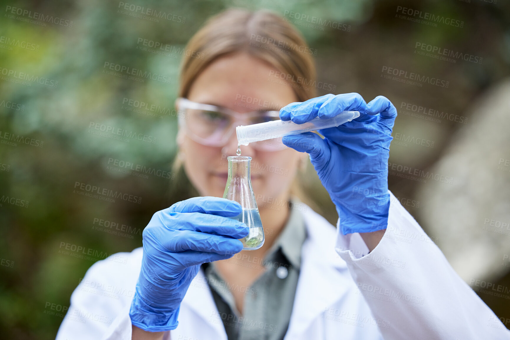 Buy stock photo Forest, research and scientist test water sample for inspection of the ecosystem and environment study. Science, sustainable and woman professional environmentalist doing carbon footprint exam