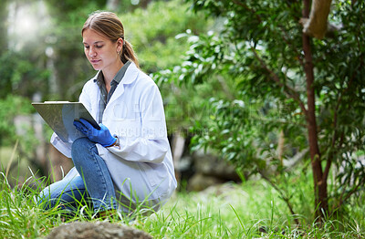 Buy stock photo Science in forest, checklist of plants and woman in nature, studying growth of trees for sustainable analysis. Ecology, development and research in biology, scientist with clipboard test for grass.