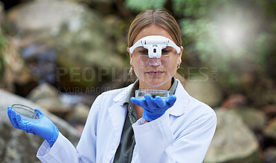 Buy stock photo Science, analysis and woman with petri dish in woods, studying growth of trees and sustainable plants in nature. Ecology, safety and research in biology, scientist with glasses and forest inspection.