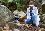 Forest, research and woman environmentalist test water for research or inspection of the ecosystem and environment study. Science, sustainable and professional scientist doing carbon footprint exam