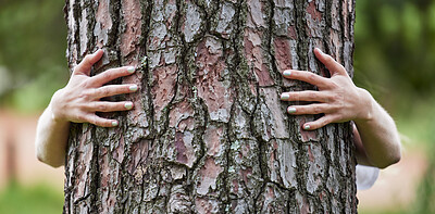 Buy stock photo Hands, hug tree and sustainability in woods, nature or earth day for care, love or accountability. Woman, embrace and climate change protest for deforestation, countryside or environment in Argentina