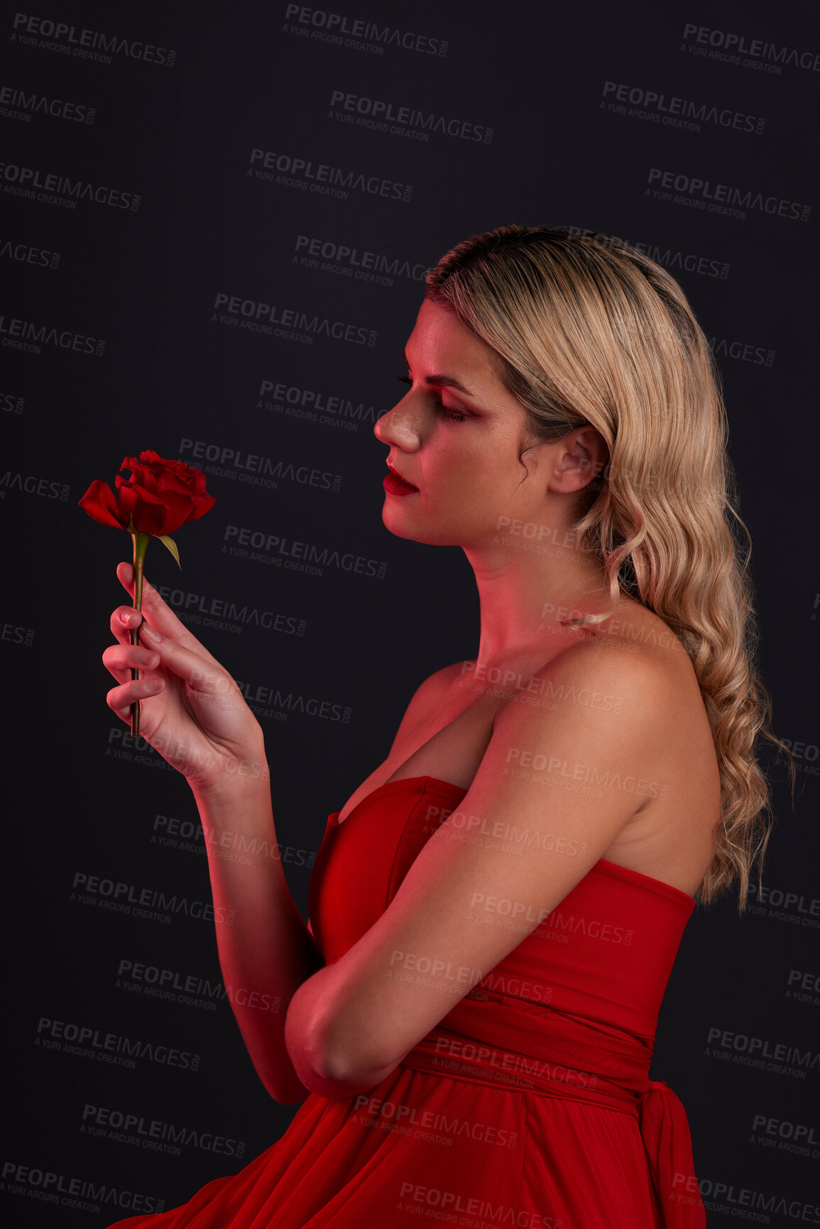 Buy stock photo Beauty, fashion and woman with a rose on a dark, black background in a studio thinking of love, romance or red aesthetic. Girl with a flower, dress and formal style in fantasy, fairytale or art