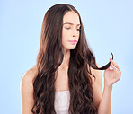 Hair care, woman and split end frustrated from beauty salon and shampoo treatment. Blue background, female person and cosmetics of a model with haircut and keratin problem looking for wellness