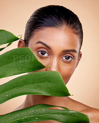 Buy stock photo Beauty, skincare and portrait with indian woman with plant for luxury spa in studio background. Dermatology, glow and happy face with leaves for facial treatment with cosmetic for self care or shine.