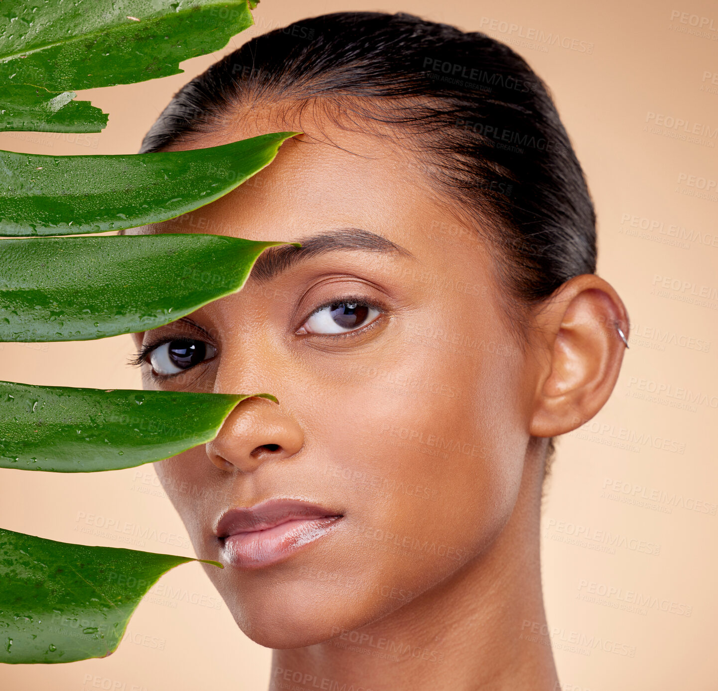 Buy stock photo Skincare, beauty and indian woman with portrait with plant or natural glow in studio background for wellness. Dermatology, leaves and happy face for cosmetic with facial treatment for luxury spa.