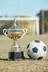Success, field and football and trophy for sports, game award and achievement in contest. Fitness, grass and prize or reward for soccer competition, championship or celebration of a goal at a stadium
