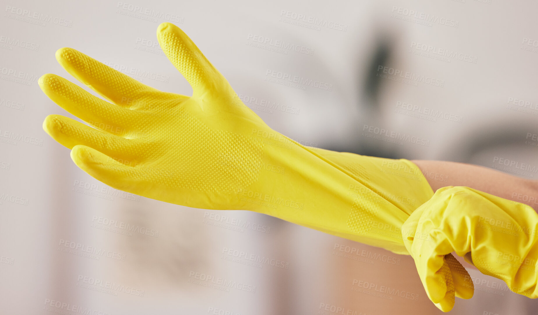 Buy stock photo Hand, gloves and cleaning service for bacteria in home with safety from germs or dirt or mockup. Cleaner, dust and rubber protection for household maintenance in apartment for hygiene or wellness.