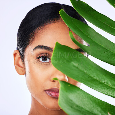 Buy stock photo Skincare, leaf and portrait of woman in studio for natural, cosmetic or organic treatment on grey background. Plant, face and lady wellness model with monstera, beauty or facial and dermatology