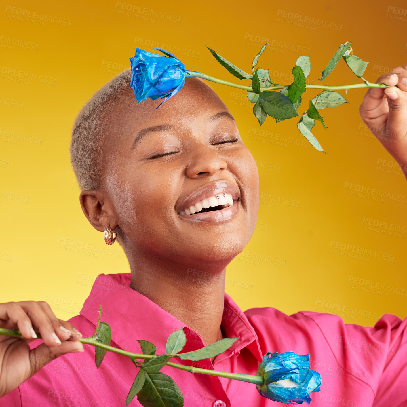 Buy stock photo Happy, smile and spring with black woman and rose in studio for blossom, plant and environment. Gift, love and blue flower with face of person on yellow background for floral, scent and mockup