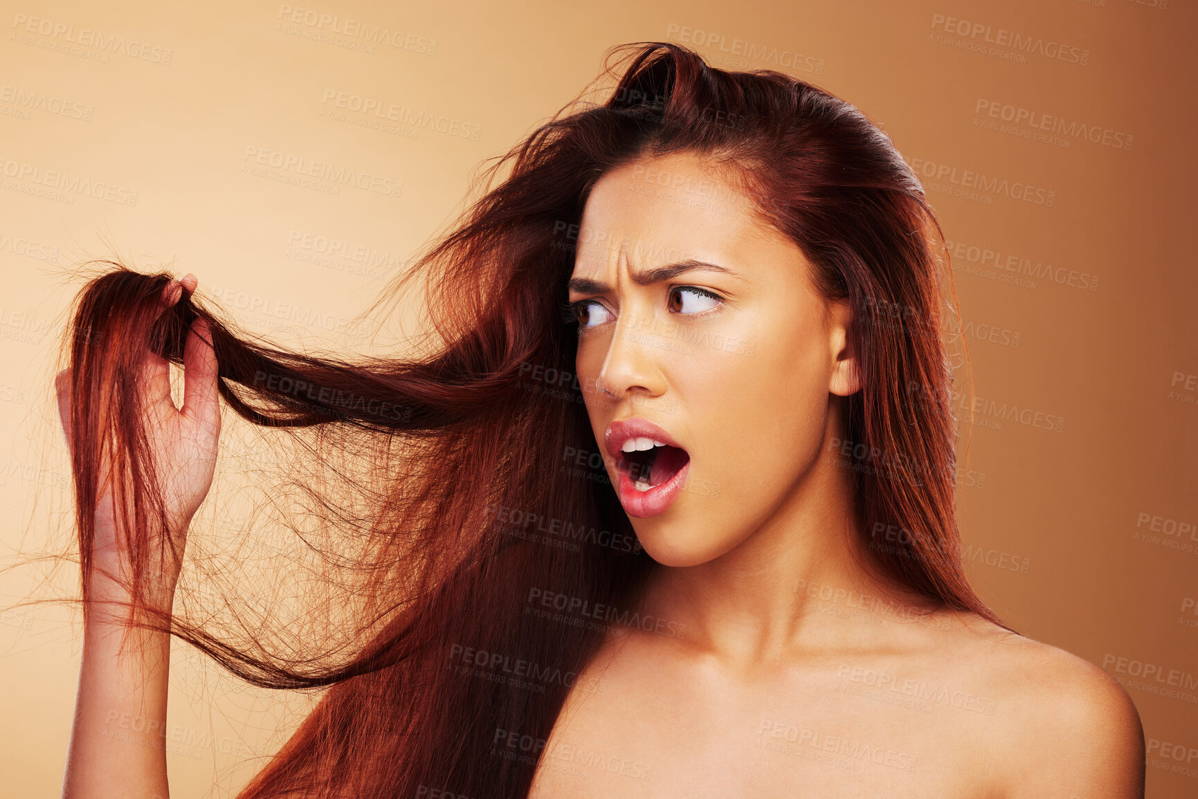 Buy stock photo Damaged, hair and a woman upset in studio about salon, split end and hairdresser treatment. Stress, disaster and shocked model person with dry texture or hairstyle crisis on a brown background 