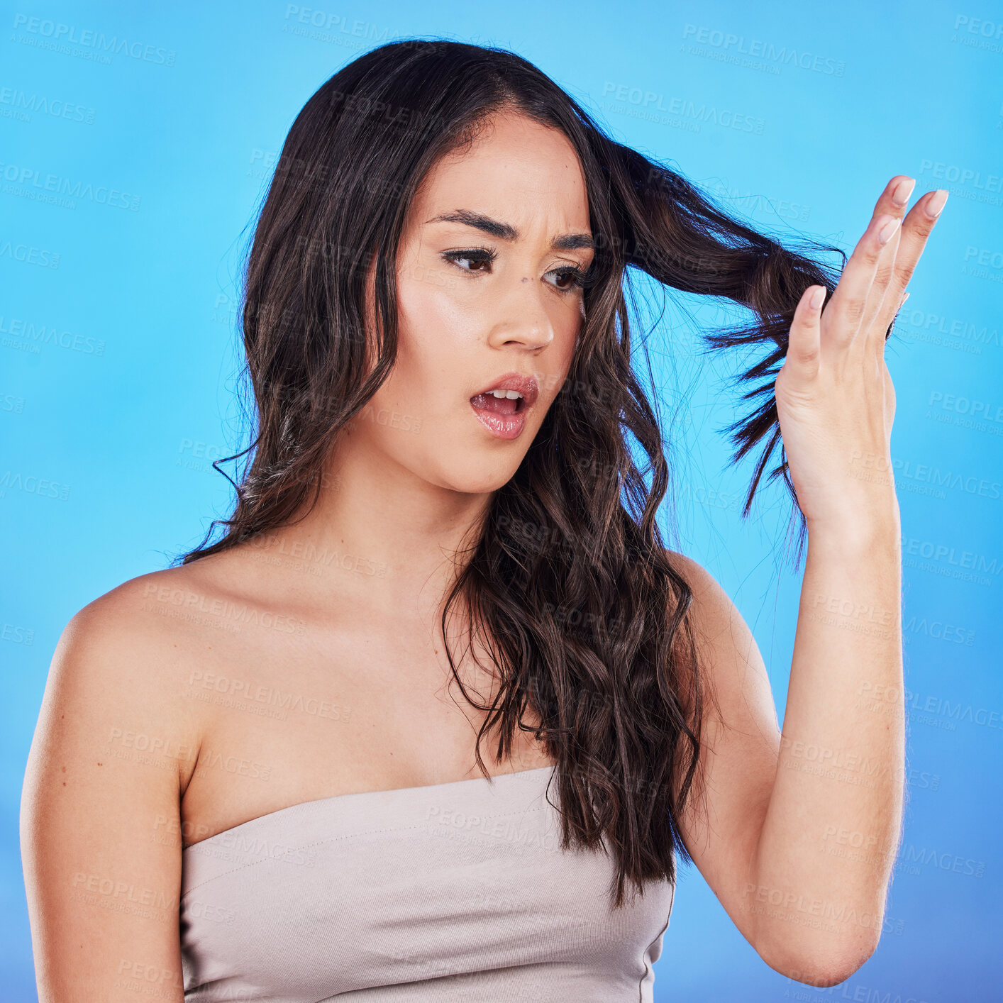 Buy stock photo Hair, problem and woman with worry or damage in blue studio background with mistake or spilt ends. Haircare, cosmetics and girl with keratin treatment for dry texture or fail with growth for repair.