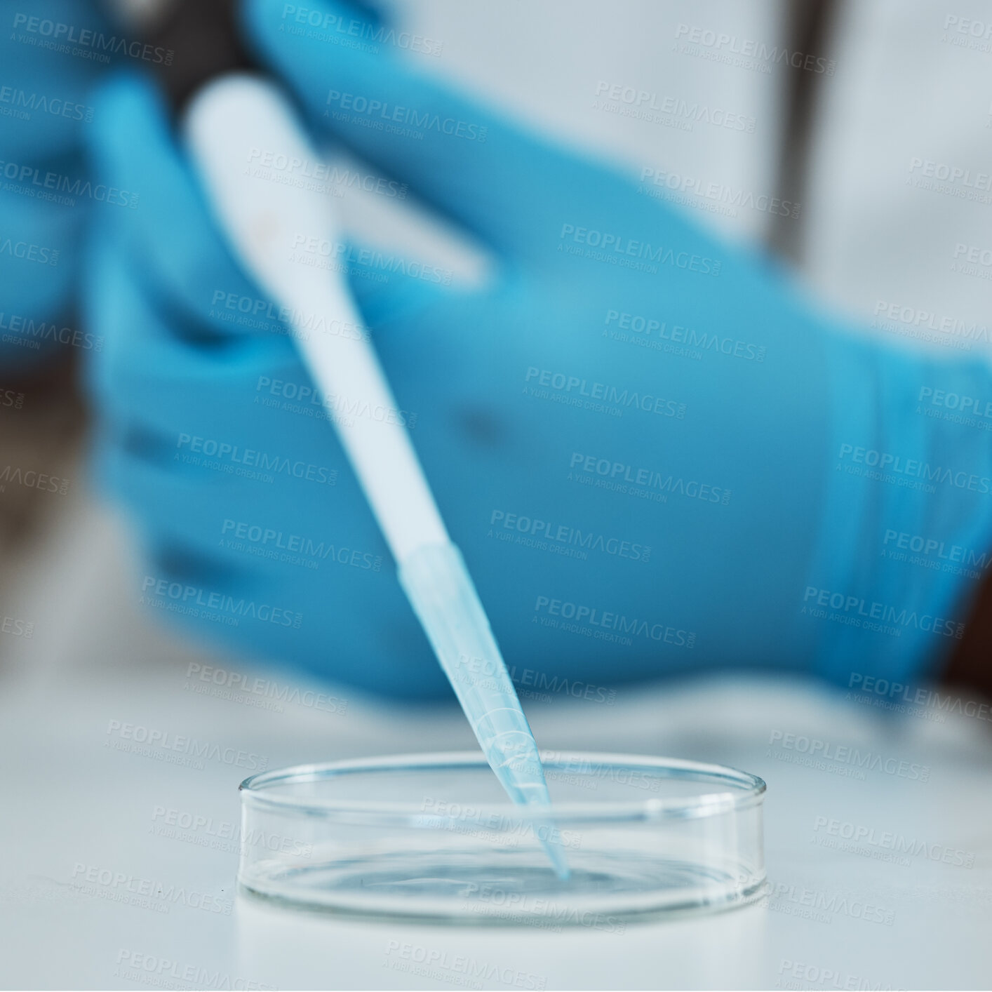 Buy stock photo Science, pipette and closeup with a person in a laboratory to research the development of a vaccine. Healthcare, medical and innovation with a scientist at work in a lab for breakthrough treatment